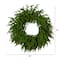20in. Pre-Lit Artificial Real Touch Norfolk Island Pine Wreath with 35 Warm White LED Lights and Natural Look